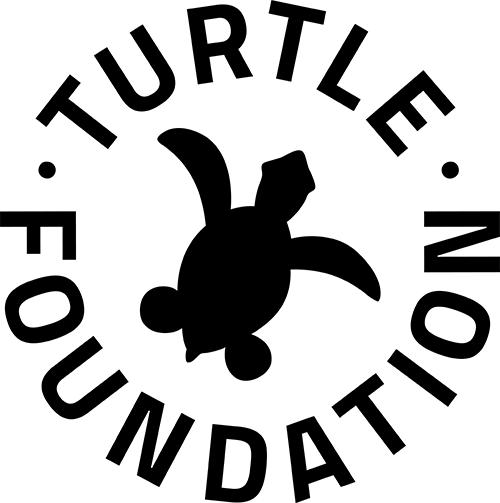 Turtle Foundation